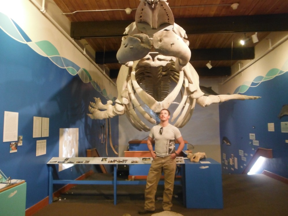 The Pratt Museum was pretty cool.  Lots of bones.