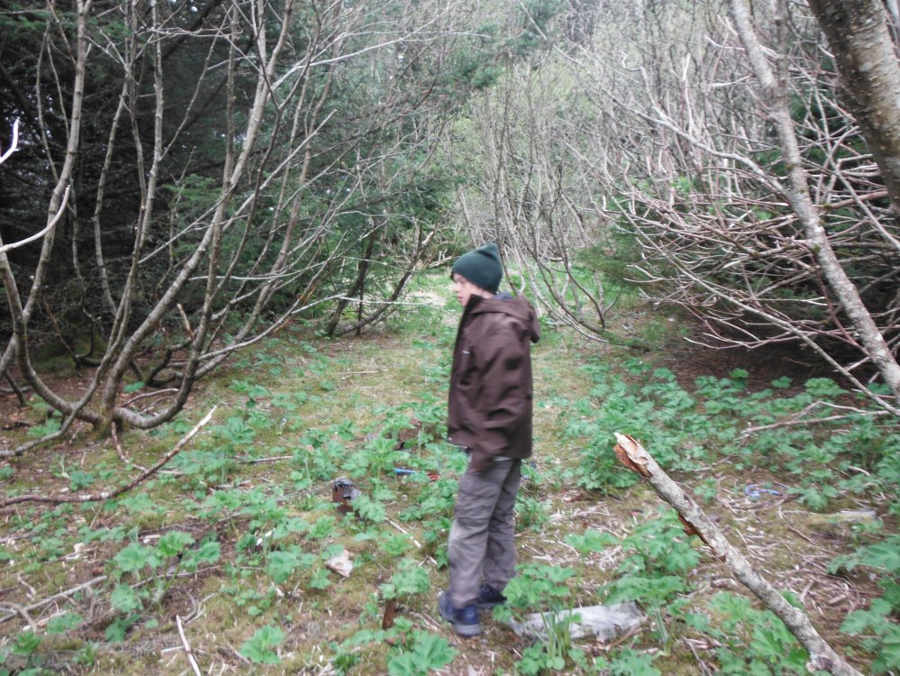 Steve and I pick through a rusty recent past, buried just under the moss.