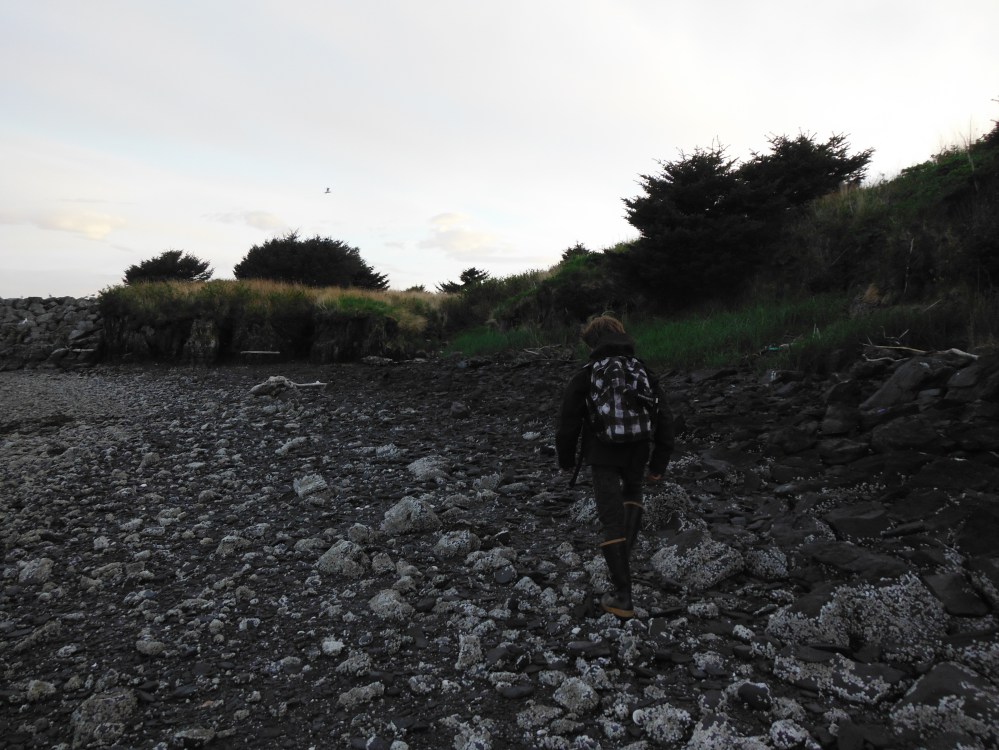 Steve and I see lots of birds.  Were gonna check it out.