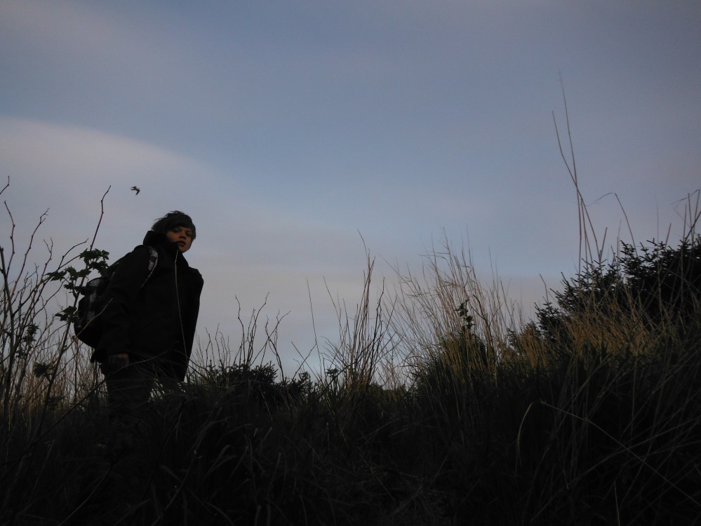 Looks like nesting season