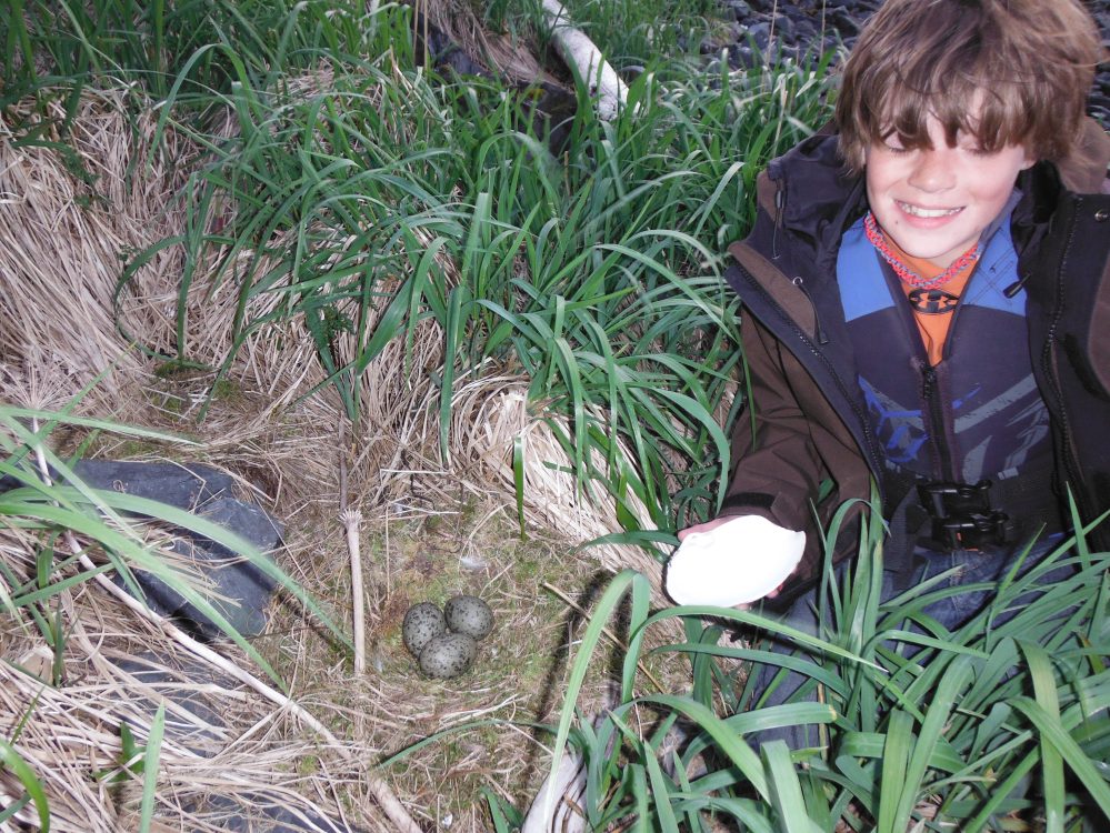 We saw some cool nests and picked up some nice shells.