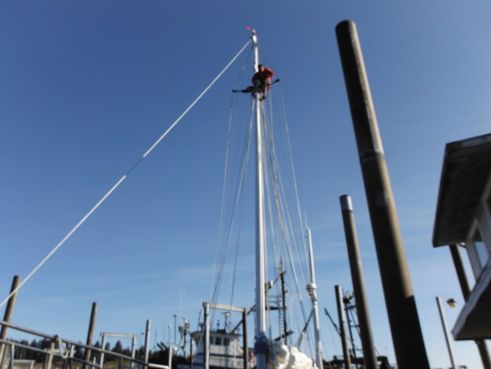 Getting comfortable up there