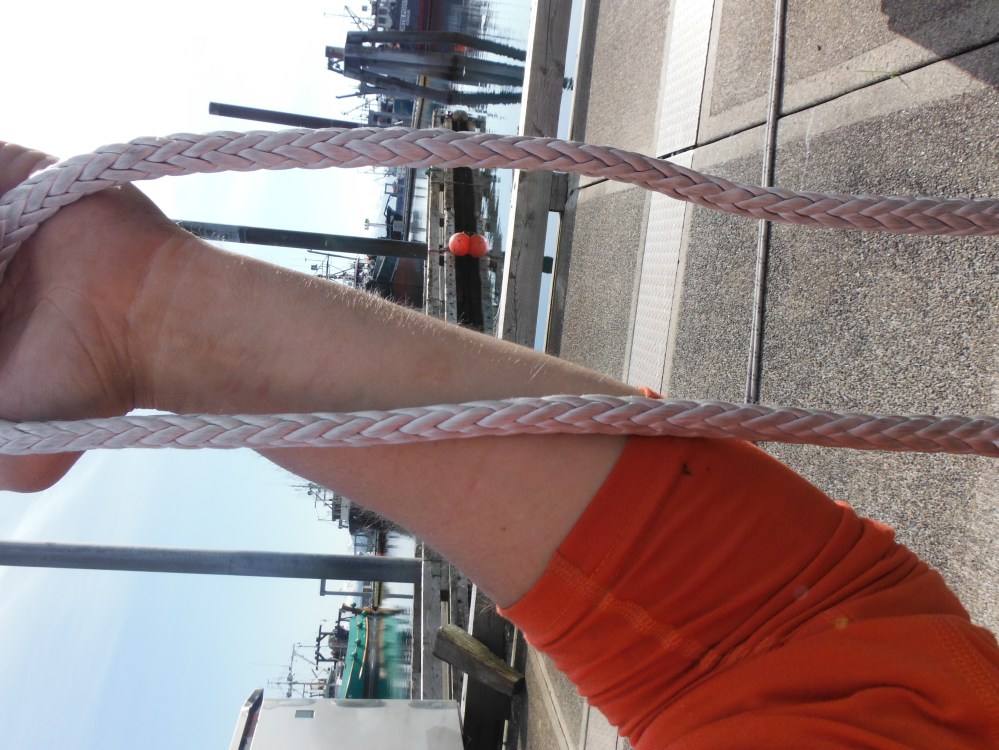 I used a fore Arm length of splice length.