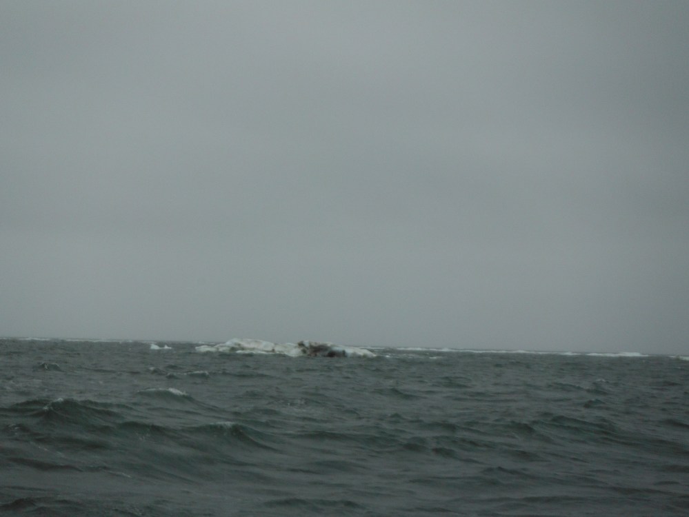 And so it begins.  Shortly after this, the fog set in, with 30 knot southwest tail winds, driving us into the pack.  We were going to fast to sail and had to strike all sail down, so we could slowly motor through the pack.  ready to reverse and protect the rudder.  Even with no sail, and motoring slow for steerage, we made 5-6 knots all the way to prudhoe Bay.  Weaving ice flows in shallow water.  
