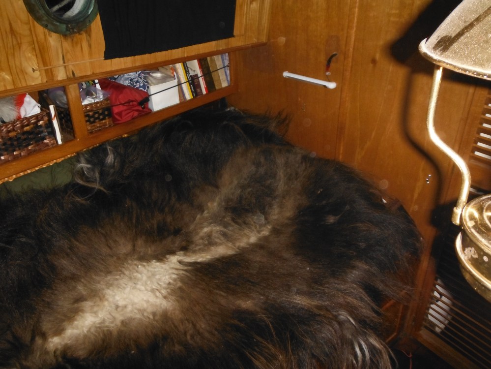 Our Muskox hide blanket.
