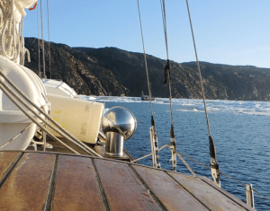 Altan Girl mingling with the blockage.