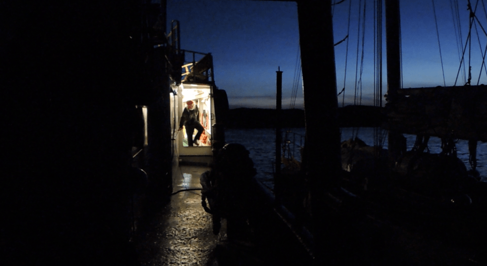 Tied to the Tanberg Polar for an enjoyable visit.